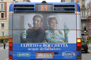 ULIVETO ROCCHETTA 2006